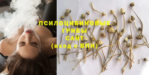 метамфетамин Алексин