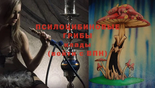 бутират Алзамай