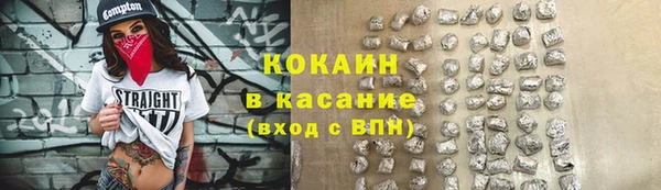 индика Осинники
